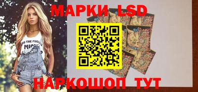 стаф Кунгур