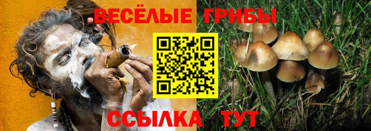 Галлюциногенные грибы прущие грибы Камышин