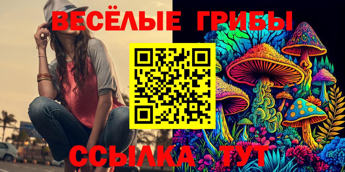 Галлюциногенные грибы Psilocybine cubensis  Галлюциногенные грибы Cubensis  Вход с VPN  Камышин 